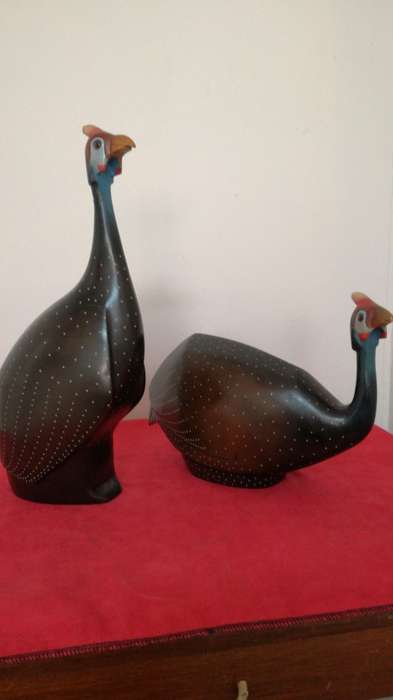 Limited Edition Helmeted Guinea fowl